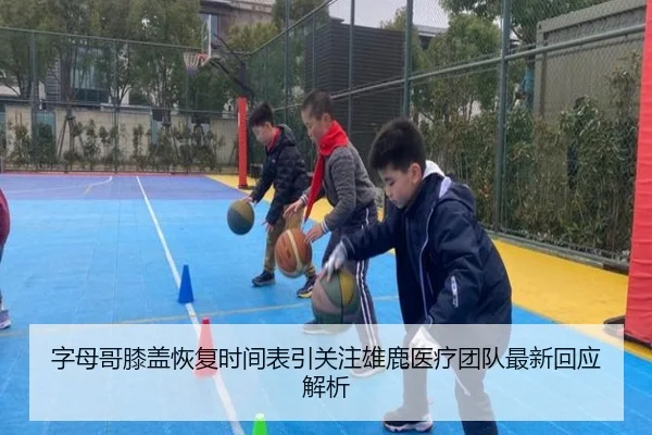 字母哥膝盖恢复时间表引关注雄鹿医疗团队最新回应解析